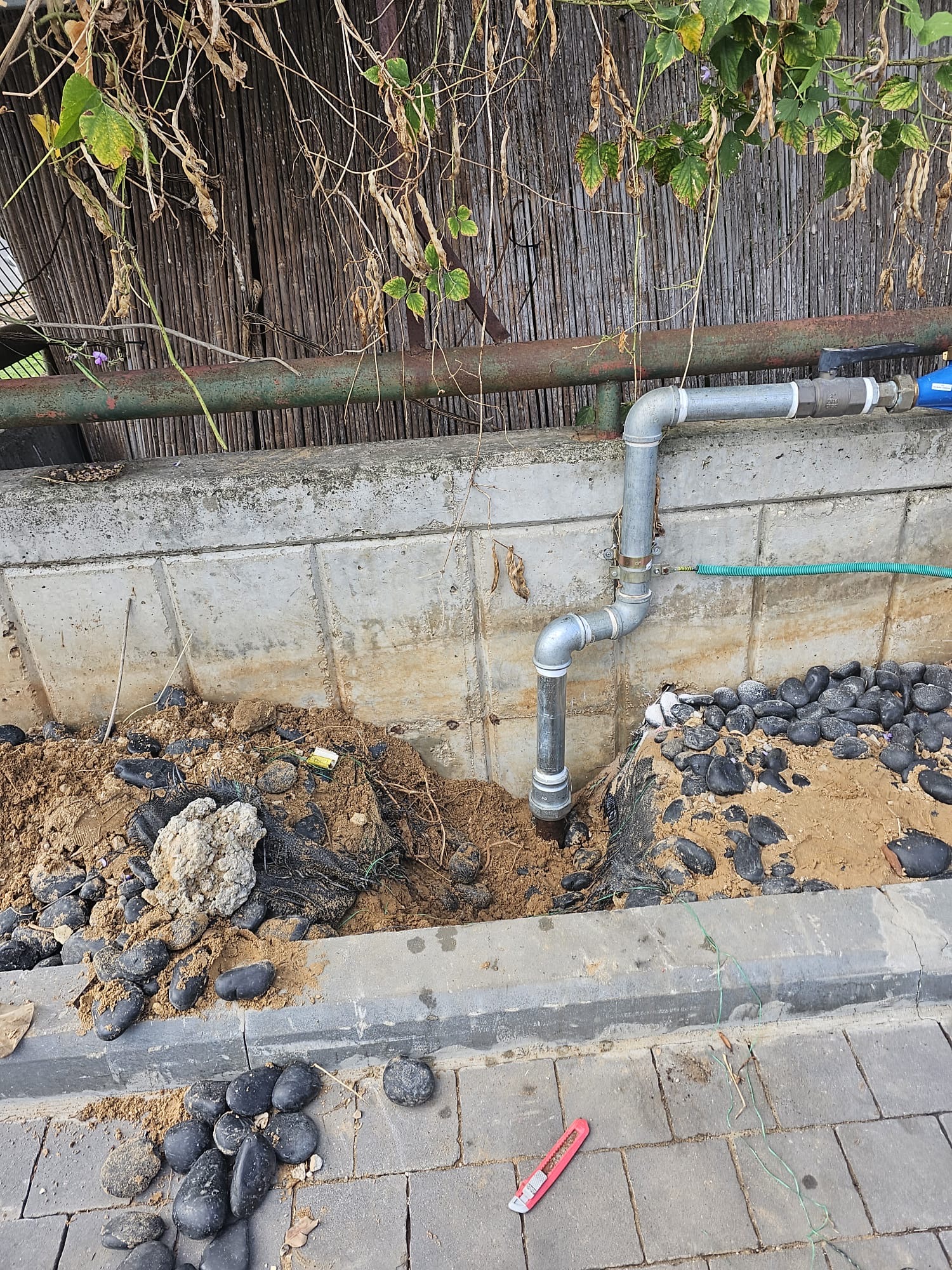 65b8d9c8-02d3-49c5-8289-b7a2496ee3a9