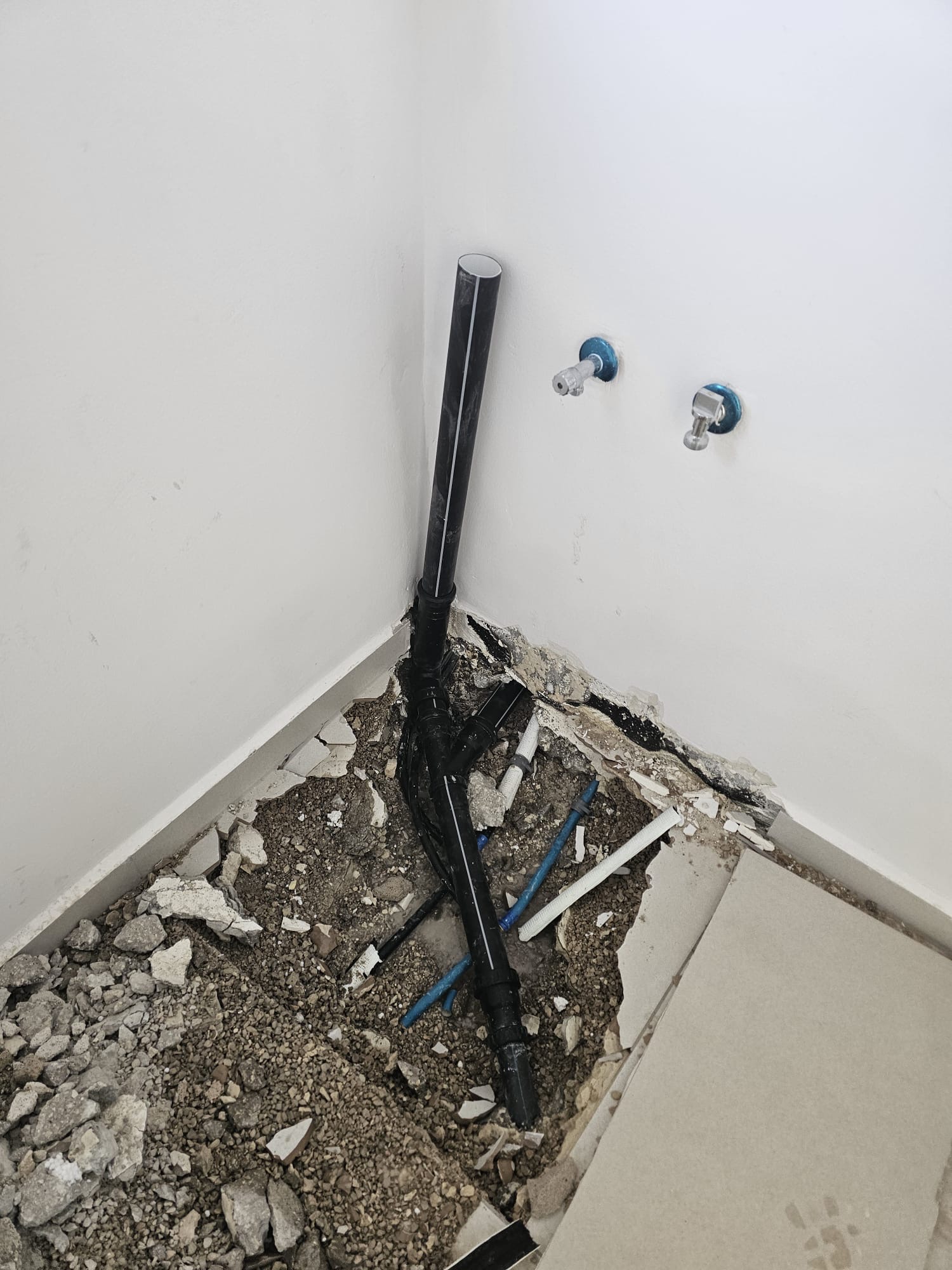 79bb7587-f284-4ce9-84a0-ac4f896de878