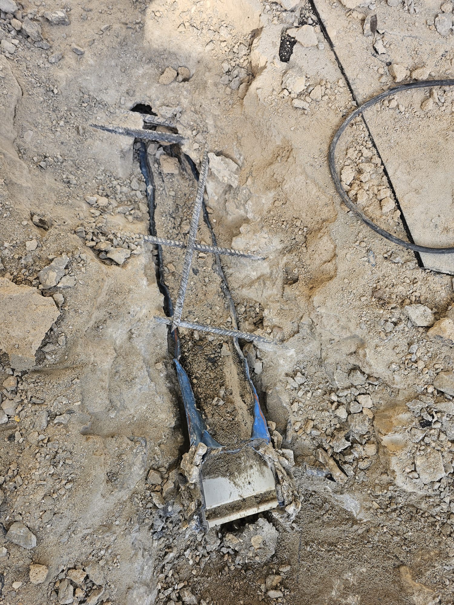 e5f7650e-7b8b-4870-b592-8f65abdab7b5