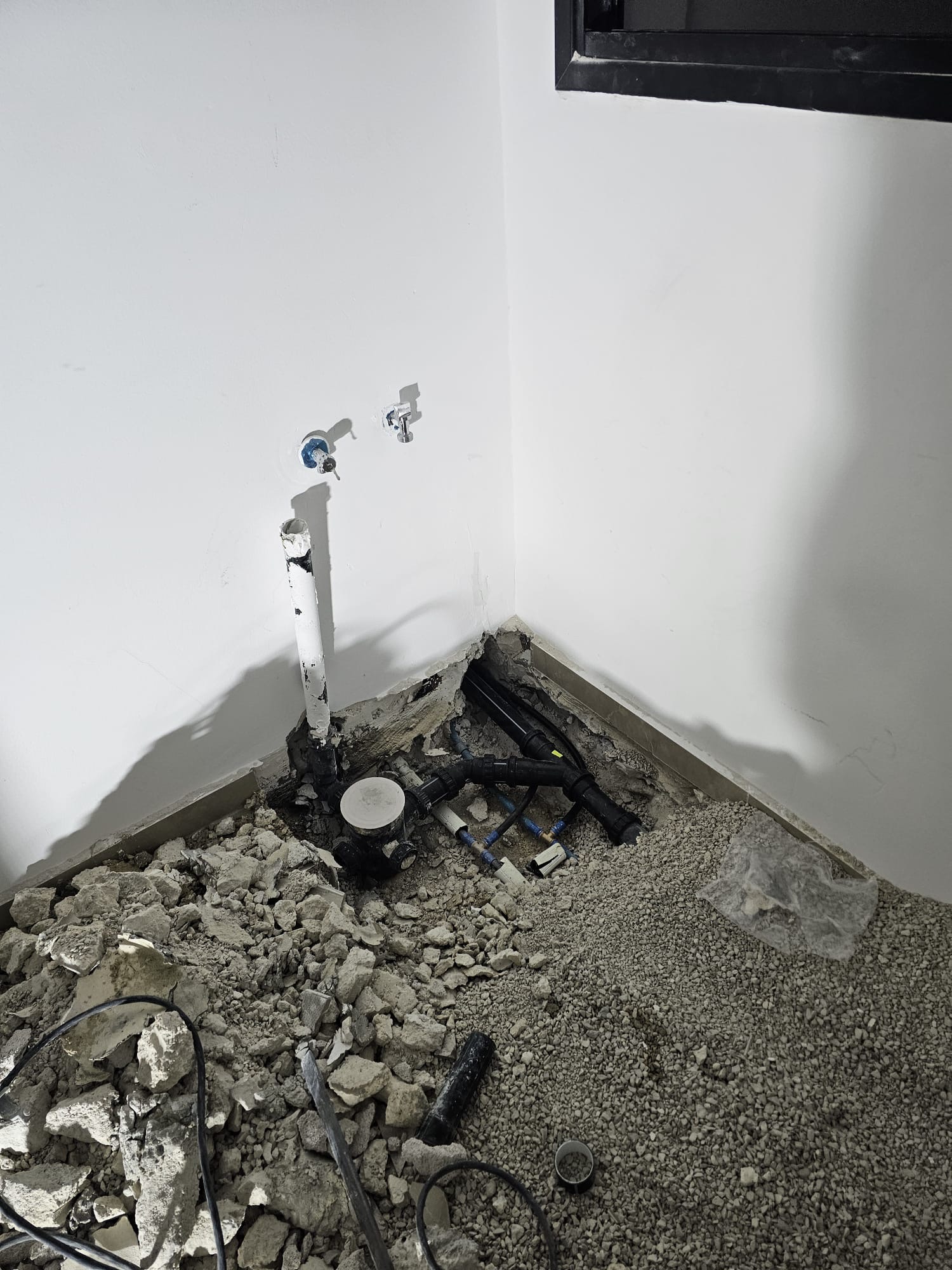 e803e8ab-5a2f-41be-990d-a5e194e6fd85